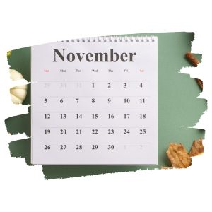 FUN blog szaraz november main 1